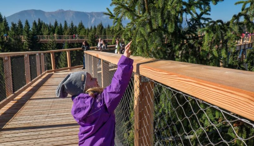 Hotel CROCUS **** Vysoké Tatry
